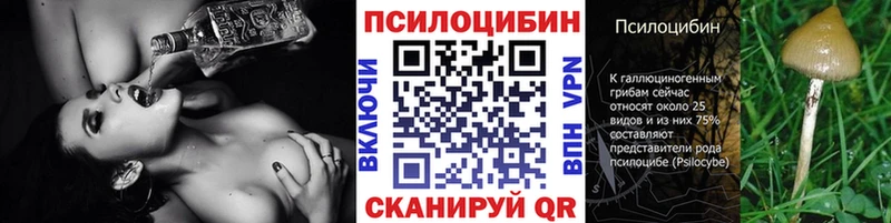 Псилоцибиновые грибы GOLDEN TEACHER  купить наркотики сайты  Октябрьск 